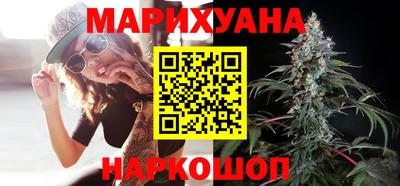 индика Дубна