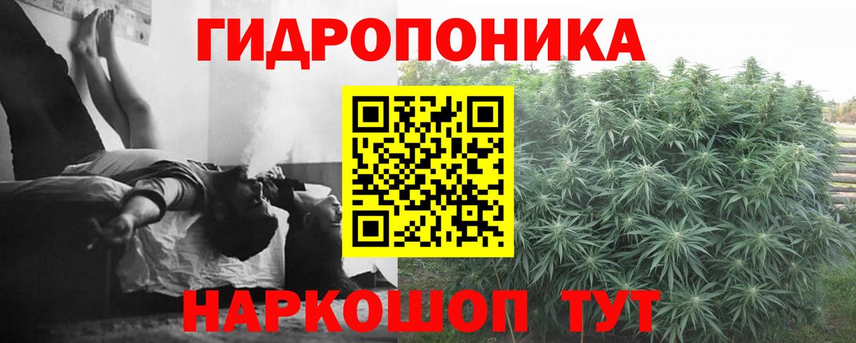 Бошки Шишки план Мелеуз